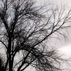 Meet your Posher, Abigail